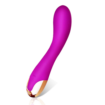 10 Velocidades Vibrator de Dildos USB Recargable G Spot Vibrator del Clitoris Masaje Para Mujeres