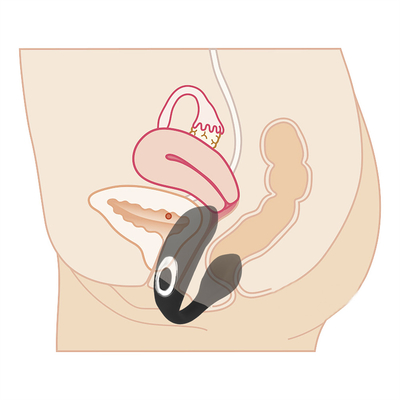 Vibrator de punto G recargable e impermeable Vibrator anal del clítoris para mujer Precio de referencia FOB: Obtenga el último precio