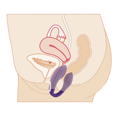 Vibrator de punto G recargable e impermeable Vibrator anal del clítoris para mujer Precio de referencia FOB: Obtenga el último precio