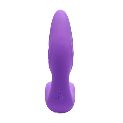 Control remoto Masajeador de próstata USB Cargador anal Vibrator juguete de próstata para hombres