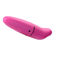 Los vibradores rosados del punto de G embolsan el vibrador de Rocket Dolphin Female Sex Toy
