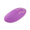 Prenda impermeable vibrante del vibrador del huevo de Bluetooth del silicón médico para las mujeres